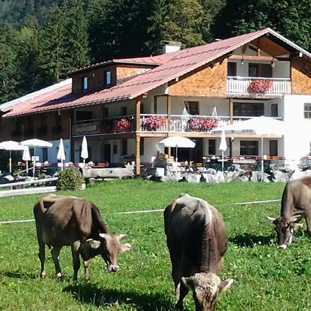 Berggasthof Riefenkopf Όμπερσντορφ Εξωτερικό φωτογραφία